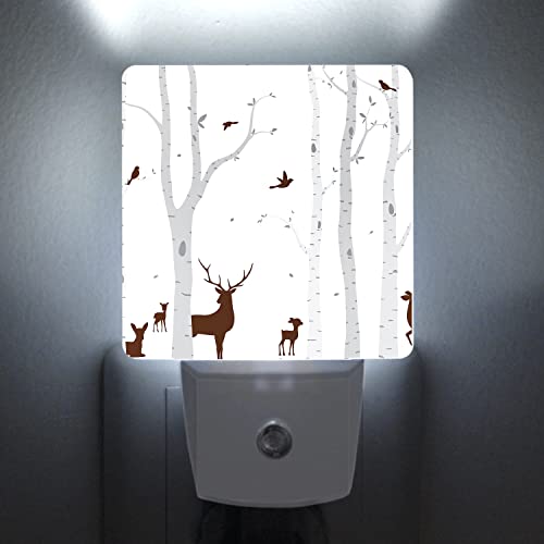 Image of Birch Tree with Deer and Birds Silhouette Plug-in Night Light Dusk to Dawn Smart Sensor White Led Nightlight for Bedroom Bathroom Kitchen Hallway Stairs Hallway Energy Efficient Decor Desk Lamp