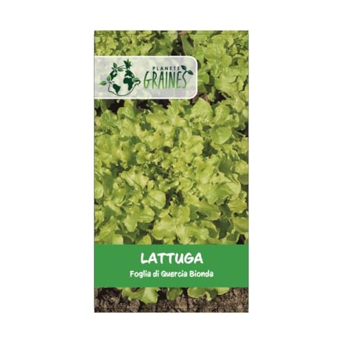 1000 Semi di Lattuga Foglia di Quercia Bionda: Facile da Coltivare