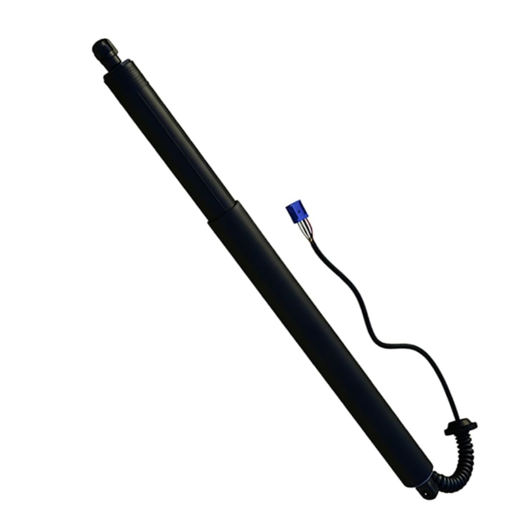 Rufutle Liftgate Struts for BYD Tang/Tang DM/Tang EV 2017-2019, Electric Tailgate Support Rod Rear Trunk Strut ST6309511/ST6309512