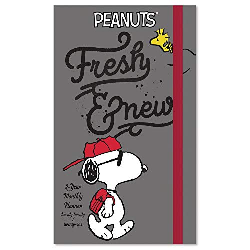 2020-2021 Peanuts Pocket Planner, 2 Year Planner (DDPP262820)