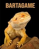 zwergbartagame alter  Bartagame: Ein Leitfaden für Anfänger zum Besitz von Bartagamen