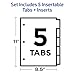 Avery Insertable Dividers for 3 Ring Binder, 5-Tab Set, Clear Big Tabs, Buff Paper with Gold-Reinforced, 1 Set, Great for Organizing Projects, Reports, Finances, and More (11110)