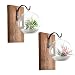 Dahey Wall Glass Planter with Wood Board Rustic Decor Air Plant Holder Hanging Terrarium Wrought Iron Hooks for Indoor Office Home Decorations, Orb 2 Set