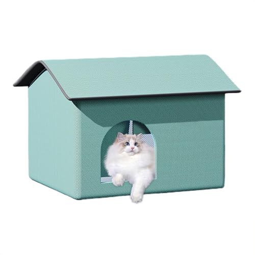 N[OhbOnEXAN[OChALbgbybgN[OnEXybgLhAN[OnEX - CqƋArOAoRj[GAR