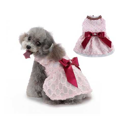 ^ ^Lp s[X ybg tėp   hX XJ[g  Ȃ L hbOEFA Pl m GǍD  y ʋC  j LOp[eB[ LOBe U o| (C,S)