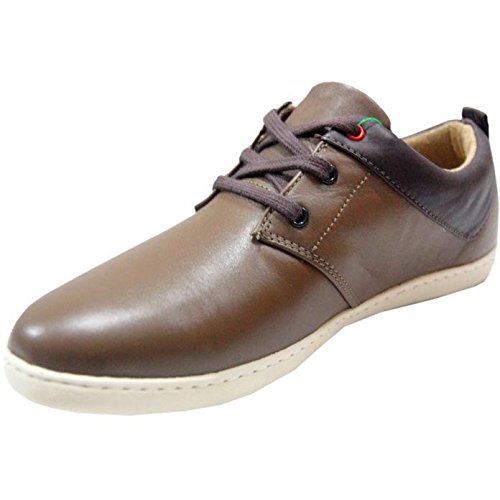 ucb leather sneakers