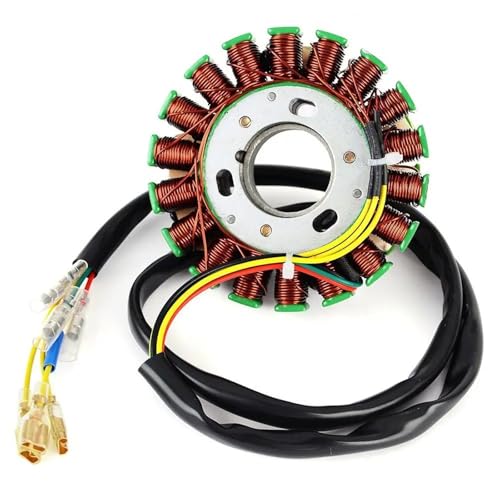 Bobine de stator RM01192-R00 d'allumage haute résistance pour Husaberg