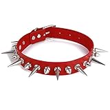 Anwendbare Anlässe: Die Halskette eignet sich für formelle und informelle Anlässe wie Cocktailpartys, Dinnerpartys, Promotionen, Hochzeiten, Tänze, Termine, Clubs, Bars usw.