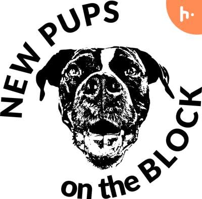 Unleashing the Potential of Dog Walking in Boston MA