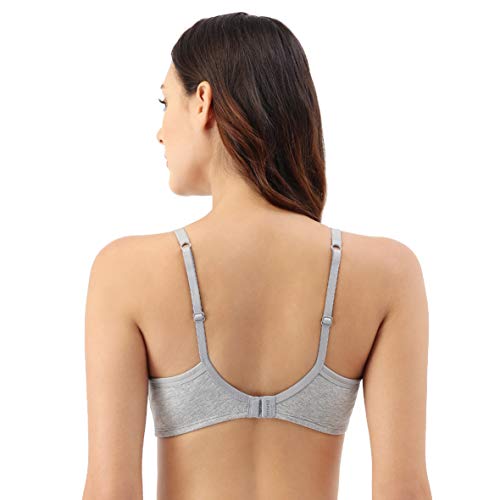 Image of Amante Cotton Padded Wirefree Full Coverage T-Shirt Bra