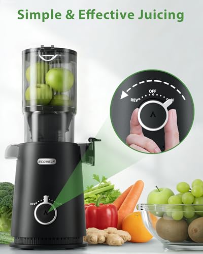 Cold Press Masticating Juicer Machine