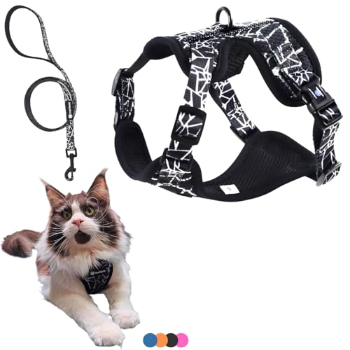 Harnais et Laisse pour Chien Chiot Chat. Harnai Réglable Original Arnet Anti Traction Original Léger Coffret Cadeau pour Chiens Taille Moyenne ou Grand Chat Maine Coon (M, Noir) Poids Idéal 7-11,5kg