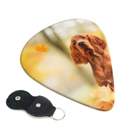 Ȟ̒F̃RbJ[XpjG GLx[XENsbN Abs fރGARy 0.96mm