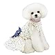 Hundekleid Welpen Luxus Rock Hundekleidung Prinzessin Kleider Hochzeitsabendkleid Tutu Rock Gänseblümchenblumenkleid für Kleine Hundemädchen Grün XS