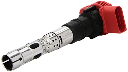 Beru AG 0040102061 Zündspule