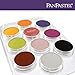 PanPastel Artist Pastels by Golden, 10 Color Palette Tray, Professional Artist Pastels
