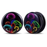 POBAISITER 2PCS Acrylic Solid Screw On Ear gauges Art Oil Painting The Scream Epoxy Allergy Free Ear Plugs and Tunnels Stretcher For Women Men Body Piercing Jewelry
