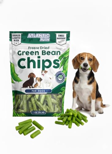 Atlantic Rush Freeze Dried Green Bean Chips for Dogs- 1oz Resealable Bag of Dried, Green Crispy Beans- Single Ingredient, No Salt or Canola Oil- Crispy, Shelf Stable - Made in USA (1 oz Bag)