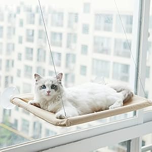 Aischens Katzen Fensterplatz Window Lounger Fenster Katzenhängematte für Katzen, Extra Stabiler Sonnenbad Katzenbett, Haustierbett für Haustier Katze klein Hund Kaninchen (55x32cm, Khaki)
