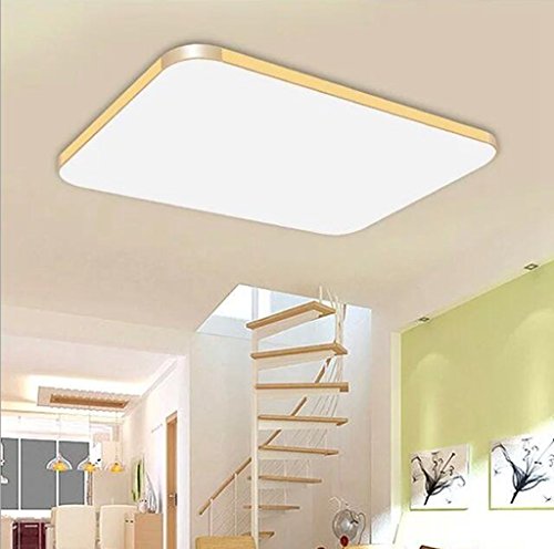 Anjz Moderne plafonnier LED Couloir Salon Chambre Optimal pour le montage mural et au plafond/220V/Size:93cm*65cm