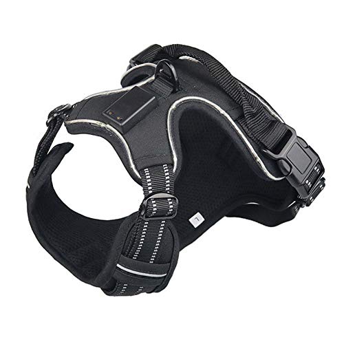 XYBB Hundegeschirr Nylon Haustier Sicherheit Led Geschirr Hund Produkt Blinkende Licht Geschirr Led Hundegeschirr Leine Seil Gürtel Led Hundehalsband Weste Haustier Liefert M Schwarz Cover