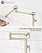 Pot Filler Faucet Deck Mount Brass Stove Pot Filling Kitchen Faucet with Double Joint Swing Arms Folding Faucet Counter Mounted Lead-Free, Single Hole, Brushed Gold