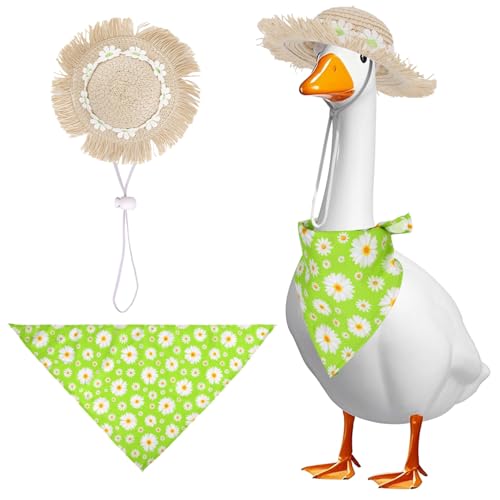 q̓IȃX^C̃|[`O[XߑAďH̃K`EhXZbg ΖXq&o_iXJ[t 23C`ŐybgRX`[ peBI[hK[ffR[Vp(O[fCW[)