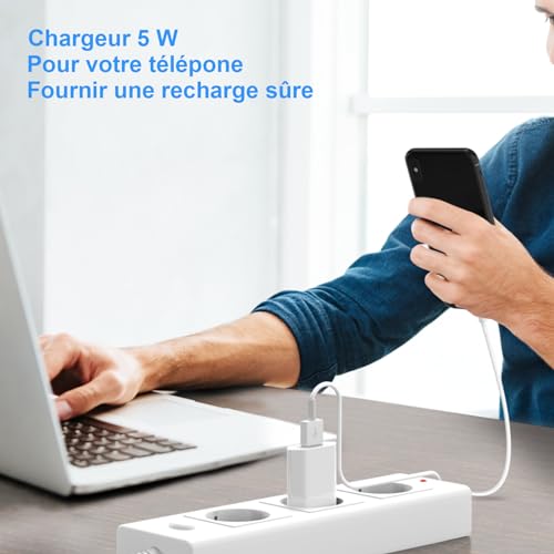 Newding Schnellladegerät für Phone 11, XR, SE, 8, 7, 10, SE 2022, SE 2020, X, 8 Plus, 6s, für Phone USB Charger, 5 W, Netzadapter mit Kabel