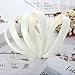 HESTYA 40 Pcs Plastic Headbands for Women DIY Craft 1 Inch Hair Bands Headwear with Teeth Wide Plain Blank Headbands Custom Hair Accessories for Graduation Halloween (White)