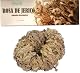 Inkanat Rose von Jericho
