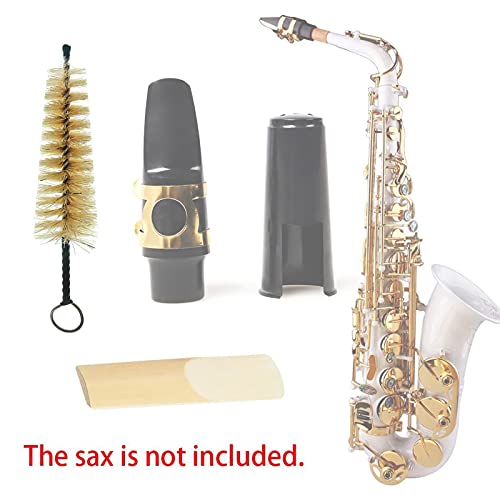 Queenser Escova de limpeza de bocal Pincel de metal com cerdas Sax Trumpet Clarinete Escovas de limp