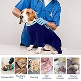 IECOii Dog Surgery Recovery Suit Long Sleeves,Post Op Dogs Recovery Suit Body Suits after Surgery,Soft Dog Bodysuit Prevent Licking Abdominal Wound,Full-Body DogPajamas,Dogs Surgical Suits,Blue,L - Image 4
