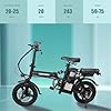 VeloTek 14" Compact Electric Bike, 20 MPH, Dual Disc Brake, Portable and Comfort, Foldable E-Bike for Adults (15A) #1