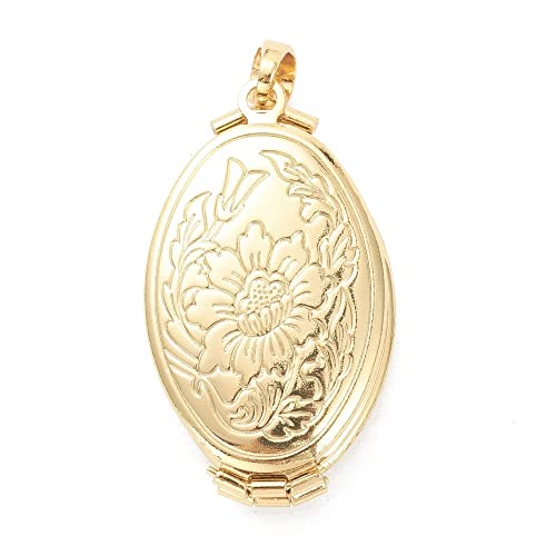 Plated Oval Photo Memory Locket Pendant Necklace With Chain