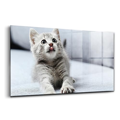 Peinture sur verre beau petit minou tableau Wallfluent 120x60