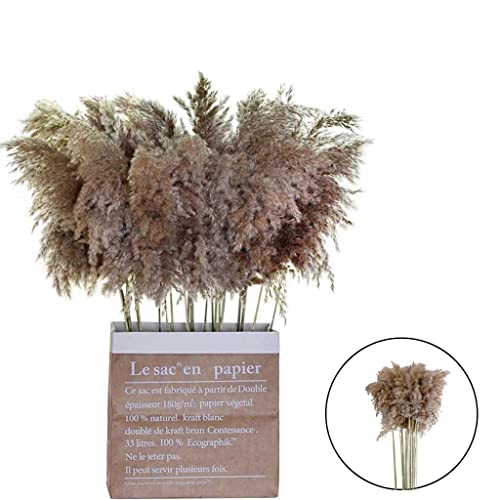 oshhni 10Pçs Pampas Artificial Hastes Secas Flores Secas Acessórios Decorativos Para Casa Bouquet Fl