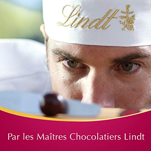 Lindt Fruit Sensation Chocolat noir Framboise & Cranberry - 160 g – vue 6