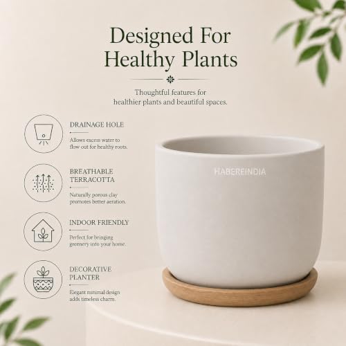 Image of Habere India-All the Cultures Fabricating India Plant Pot with Wooden Plate | Flower Pots for Dining Table & Home Decor | Terracotta Pot for Living Room Decoration (Multi, Dia11 x H9.5 cm)