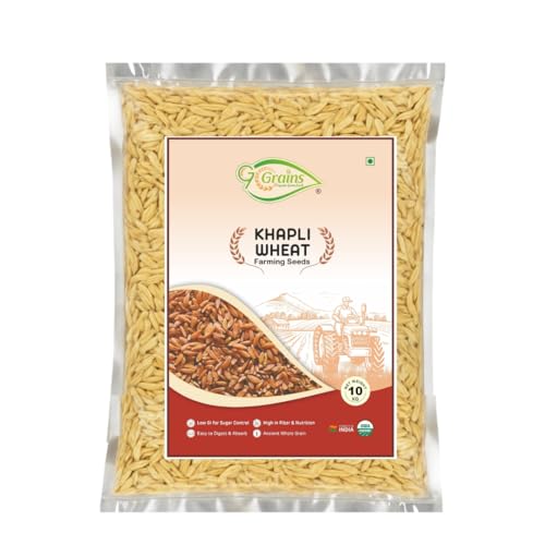 Image of Organic Khapli Wheat Grains Seeds (15Kgs) | Khapli Gehu Ka Seeds | For Farming, Sowing & Agriculture Use | Produce of India | 100% Natural & Non-GMO