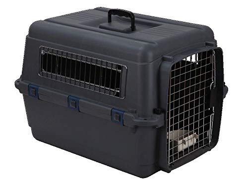 PSK PET MART Plastic Fight Cage with Wheels for Pets (Black, 20 Inch) (B087YWW687) Amazon Price History, Amazon Price Tracker