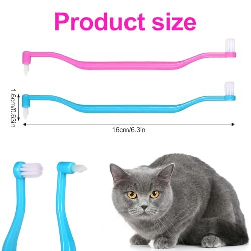 2pcs Dual Sided Cat Toothbrush, Micro Head Kitten Teeth Cleaning Brush with Curved Handle Cat Dental Care Supplies Reduce Plaque Tartar Formation & Bad Breath 2pcs Dual Sided Cat Toothbrush, Micro Head Kitten Teeth Cleaning Brush with Curved Handle Cat Dental Care Supplies Reduce Plaque Tartar Formation & Bad Breath