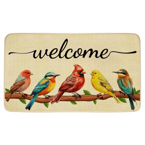 JWXCBIM Spring Door Mat Bird Welcome Decor Doormat, Summer Decorative Indoor Outdoor Non-Slip Mat for Home Entrance, Outside Entry, Floor, Patio 17x30 Inches