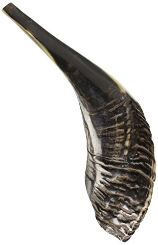 Corne Jerusalem Shofar Kosher Twisted Rams Horn Polished Natural Chofar Showfar Jewish Mouthpiece Yom kippur handcrafted Casher