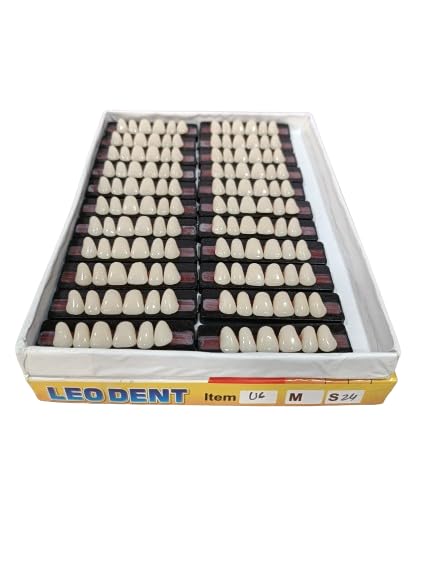 Dental Leo Dent Acrylic Teeth Kit Sets Shade Of Teeth Upper 6-24 (B0CT8QDCYZ) Amazon Price History, Amazon Price Tracker