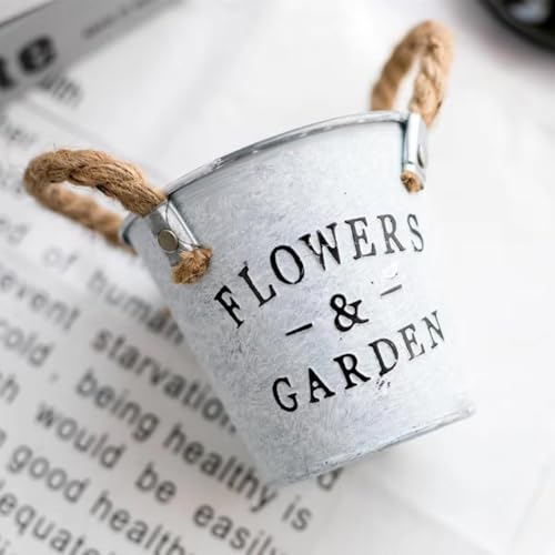 Seaux de fleurs en fer pour plantes succulentes (5 pièces) - 7