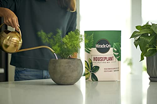 Image of Miracle-Gro Houseplant Potting Mix, 4 qt. (2-Pack) | Fertilized Indoor Plant Soil for Containers, Designed to be Less Prone to Gnats