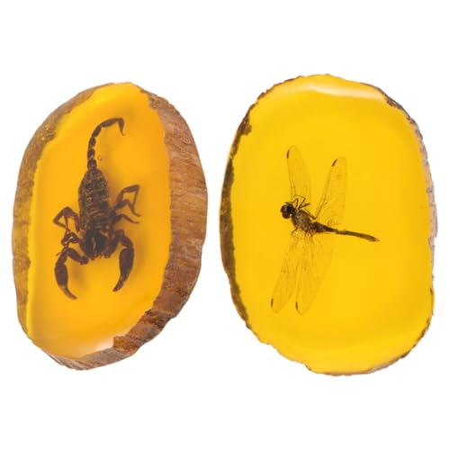Bijoux ambre résine élégants et pendentifs insectes fossiles d'artisanat d'art