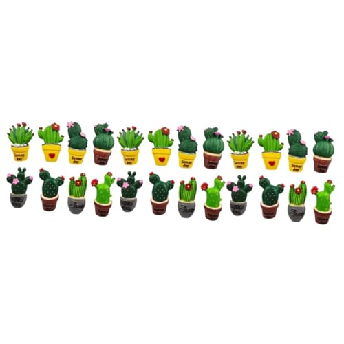 Pot de rempotage miniature cactus Cabilock décoration artisanat - 2