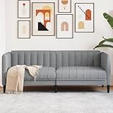 Aiious 2-Sitzer Sofa Hellgrau Stoff - Komfortables Plausch- und Entspannungszentrum