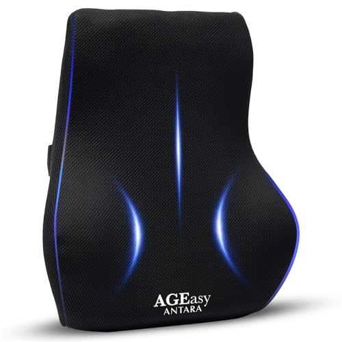 Image of AGEasy (Max Group Lumbar Back Support | Orthopedic Lumbar Support for Back Pain Relief | High Density Memory Foam (Black)